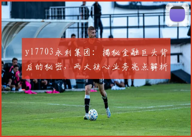 yl7703永利集团：揭秘金融巨头背后的秘密，两大核心业务亮点解析，深度剖析