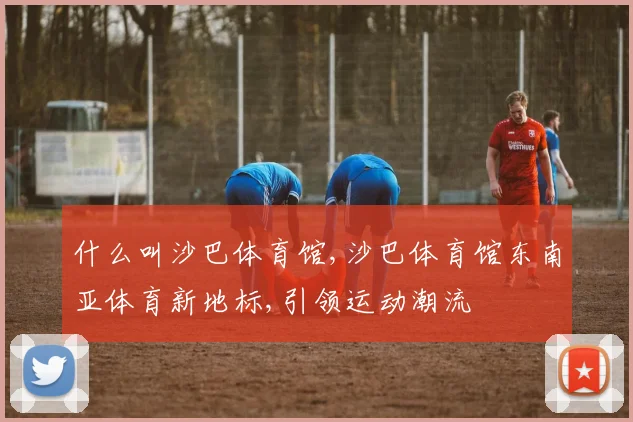 什么叫沙巴体育馆,沙巴体育馆东南亚体育新地标,引领运动潮流