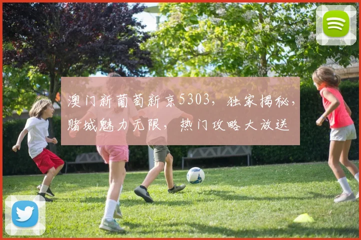 澳门新葡萄新京5303，独家揭秘，赌城魅力无限，热门攻略大放送